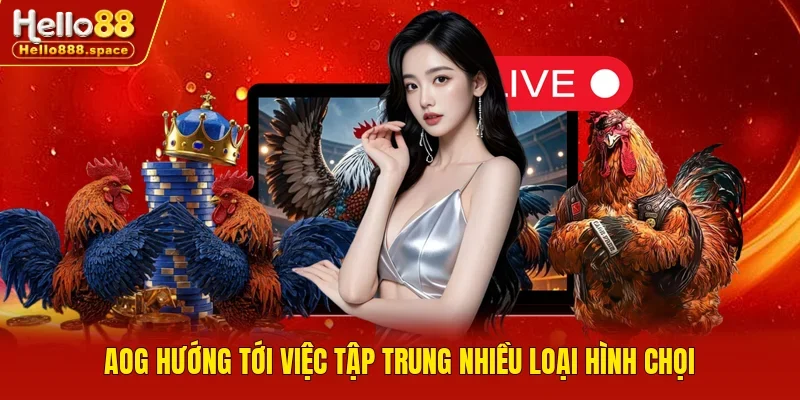AOG hướng tới việc tập trung nhiều loại hình chọi