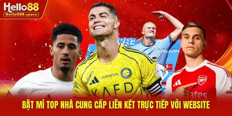 Bật mí TOP nhà cung cấp liên kết trực tiếp với website