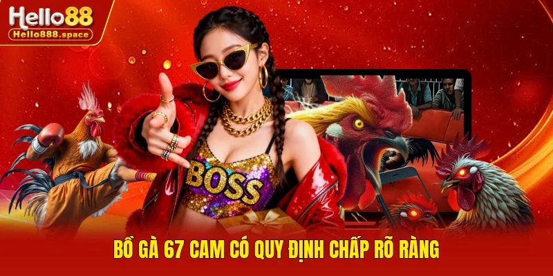Bồ gà 67 Cam có quy định chấp rõ ràng