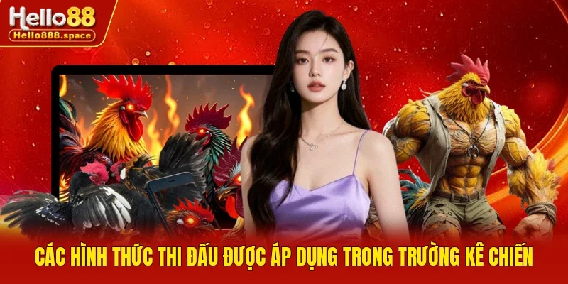 Các hình thức thi đấu được áp dụng trong trường kê chiến