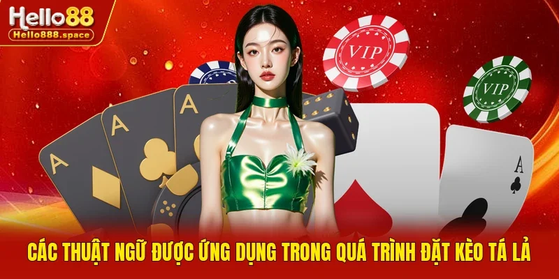 Các thuật ngữ được ứng dụng trong quá trình đặt kèo tá lả