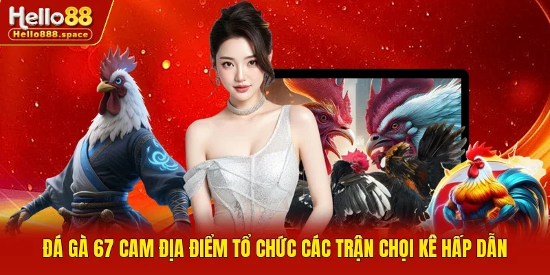 Đá gà 67 Cam địa điểm tổ chức các trận chọi kê hấp dẫn