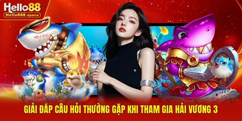 Giải đáp câu hỏi thường gặp khi tham gia hải vương 3