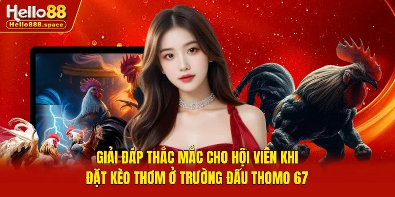 Giải đáp thắc mắc cho hội viên khi đặt kèo thơm ở trường đấu Thomo 67