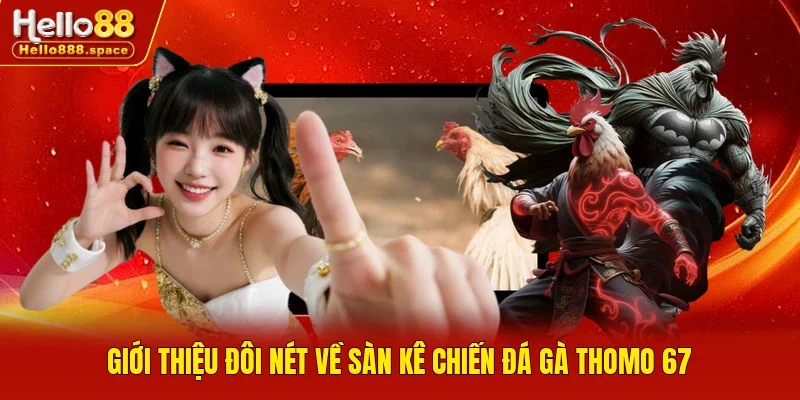 Giới thiệu đôi nét về sàn kê chiến đá gà Thomo 67